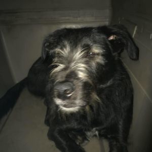 Meet your Posher, Dave